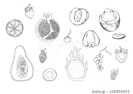 Sketch set fruits, hand drawn tropical fruits and berries. Sweet fresh sliced kiwi, peach and pomegranate, cute cherry and strawberry. Pear with leaves. Coconut slice and half figs. Sketch set fruits, hand drawn tropical fruits and berries. Sweet fresh sliced kiwi, peach and pomegranate, cute cherry and strawberry. Pear with leaves. Coconut slice and half figs. 126954031