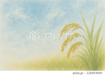稲穂 126954095