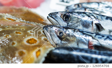 A group of fish are neatly lined up on a cold, chilly ice surface A group of fish are neatly lined up on a cold, chilly ice surface 126954708