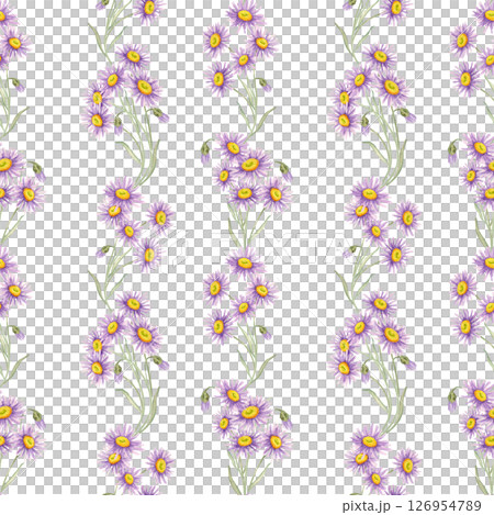 Single aster stems repeat vertically on watercolor seamless pattern with soft green leaves. Wildflower clipart Use for wallpaper, stationery, notebook covers, or fashion accessories Single aster stems repeat vertically on watercolor seamless pattern with soft green leaves. Wildflower clipart Use for wallpaper, stationery, notebook covers, or fashion accessories 126954789