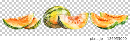 Set of fresh fruit, Melons in watercolor style isolated on a transparent background. 126955090