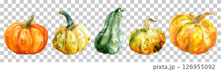 Set of fresh fruit, Mixed pumpkins and squashes in watercolor style isolated on a transparent background. 126955092