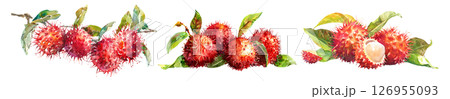 Set of fresh tropical fruit, Rambutans, Ngok in watercolor style isolated on a transparent background. Set of fresh tropical fruit, Rambutans, Ngok in watercolor style isolated on a transparent background. 126955093