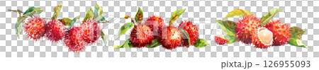 Set of fresh tropical fruit, Rambutans, Ngok in watercolor style isolated on a transparent background. Set of fresh tropical fruit, Rambutans, Ngok in watercolor style isolated on a transparent background. 126955093