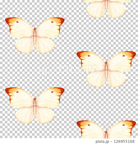 Cream and orange butterflies on a white background. Seamless watercolor pattern, hand-painted. Ideal for textiles, branding, packaging, wedding decor, stationery, and creative business projects Cream and orange butterflies on a white background. Seamless watercolor pattern, hand-painted. Ideal for textiles, branding, packaging, wedding decor, stationery, and creative business projects 126955108
