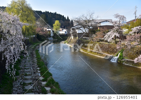 日本の岐阜県 春の高山市 観光名所の中橋の上から見た風景 満開の桜と周辺の街並み 美しい宮川と新緑 日本の岐阜県 春の高山市 観光名所の中橋の上から見た風景 満開の桜と周辺の街並み 美しい宮川と新緑 126955401