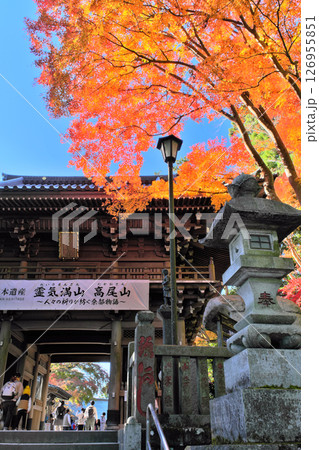高尾山薬王院の山門と紅葉 東京都 高尾山薬王院の山門と紅葉 東京都 126955851