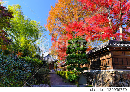 能仁寺の紅葉 埼玉県 能仁寺の紅葉 埼玉県 126956770