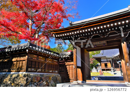 能仁寺の紅葉　埼玉県 126956772