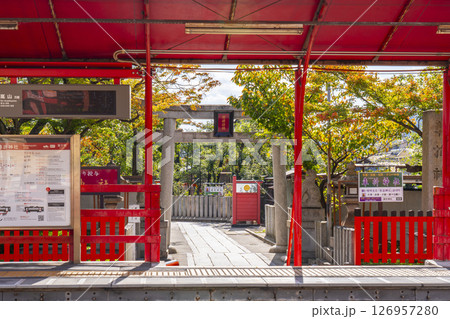 秋の京都 車折神社駅から見る車折神社 秋の京都 車折神社駅から見る車折神社 126957280