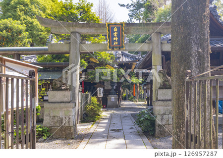 京都御苑内白雲神社 126957287