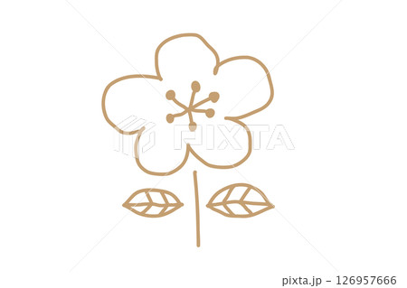 北欧風の手描き花ベクターイラスト 金 北欧風の手描き花ベクターイラスト 金 126957666