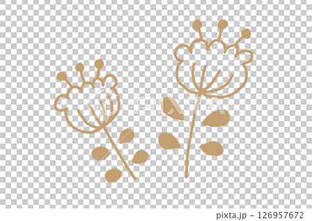北欧風の手描き花ベクターイラスト　金 126957672