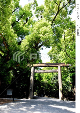 名古屋市　熱田神宮正門（南門）と新緑 126958481