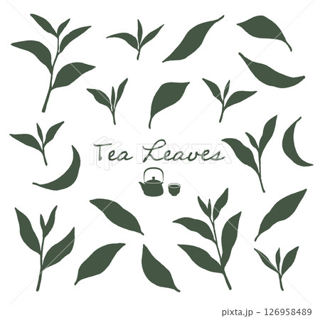 抹茶、緑茶など、日本茶の茶葉のシルエットイラスト 抹茶、緑茶など、日本茶の茶葉のシルエットイラスト 126958489
