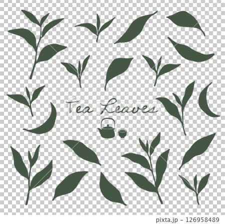 抹茶、緑茶など、日本茶の茶葉のシルエットイラスト 抹茶、緑茶など、日本茶の茶葉のシルエットイラスト 126958489