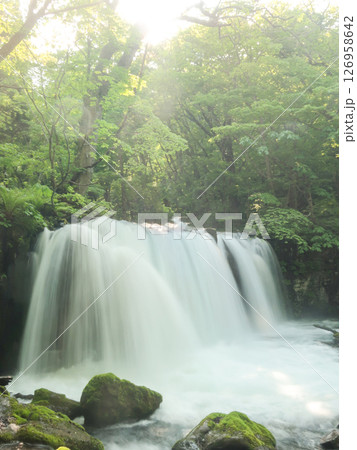 銚子大滝（奥入瀬渓流）　新緑に囲まれた滝と水しぶきの風景 126958642