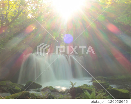 奥入瀬渓流の滝と差し込む光芒　木漏れ日の中の癒しの風景 126958646