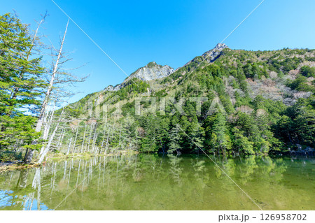 初夏の上高地　明神一之池　長野県松本市 126958702