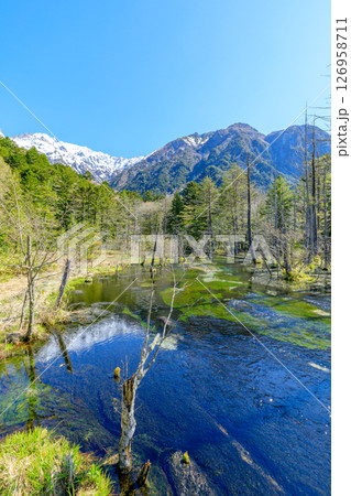 初夏の上高地 岳沢湿原 長野県松本市 初夏の上高地 岳沢湿原 長野県松本市 126958711