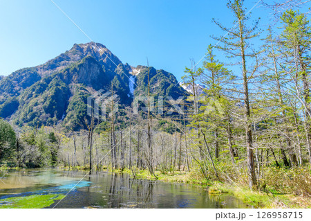 初夏の上高地　岳沢湿原　長野県松本市 126958715