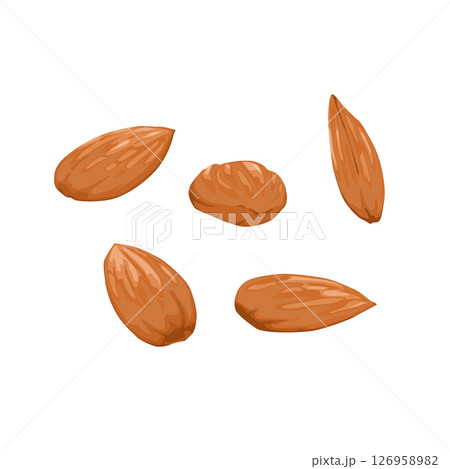 アーモンドのイラスト 126958982