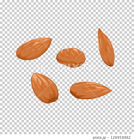 アーモンドのイラスト 126958982