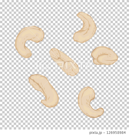 腰果的插圖 126958984