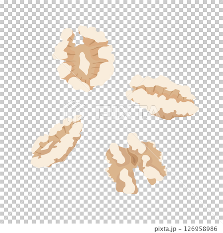 核桃的插圖 核桃的插圖 126958986