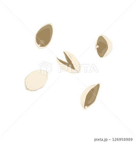 ピスタチオの殻イラスト 126958989