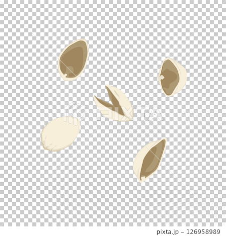 開心果殼插圖 開心果殼插圖 126958989