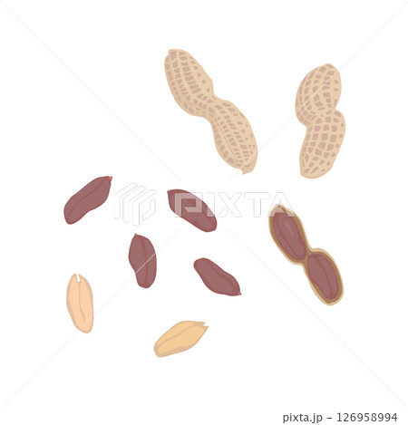 殻付きピーナッツのイラスト 126958994