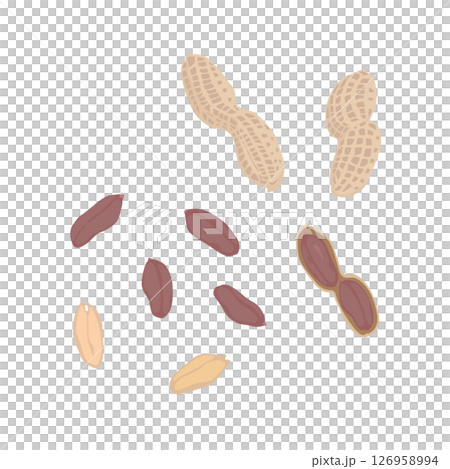 殻付きピーナッツのイラスト 126958994