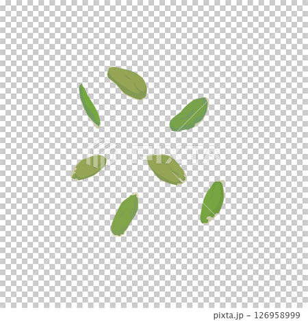 かぼちゃの種のイラスト 126958999