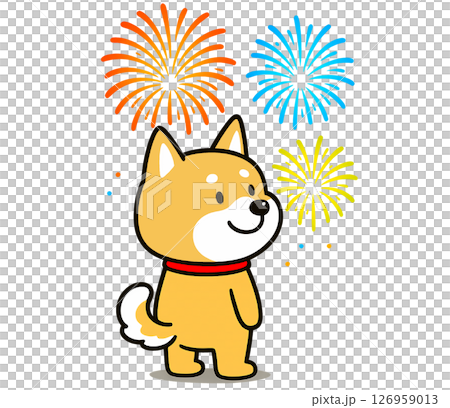 柴犬觀賞五彩繽紛的煙火 柴犬觀賞五彩繽紛的煙火 126959013