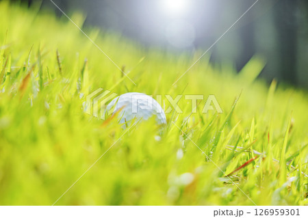 新緑の芝生が綺麗なゴルフ場 126959301