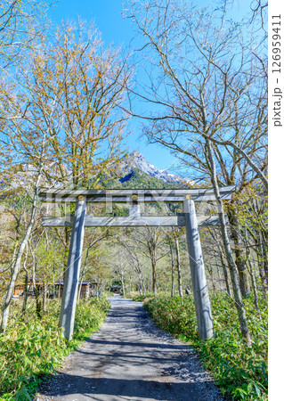 初夏の穗髙神社 奧宮　長野県松本市 126959411
