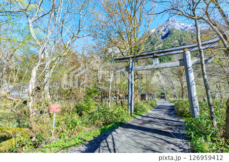 初夏の穗髙神社 奧宮　長野県松本市 126959412