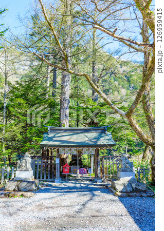 初夏の穗髙神社 奧宮　長野県松本市 126959415