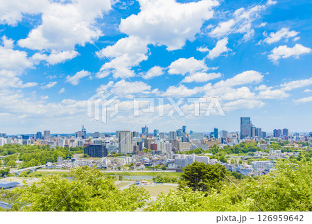 青葉城址より新緑の仙台市全景 126959642