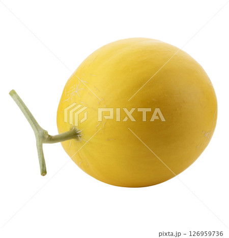 Golden Melon isolated on a white background 126959736