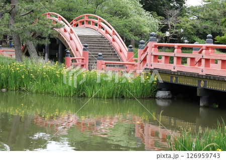 金沢文庫の反り橋 126959743