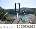 野岳大橋 126959862