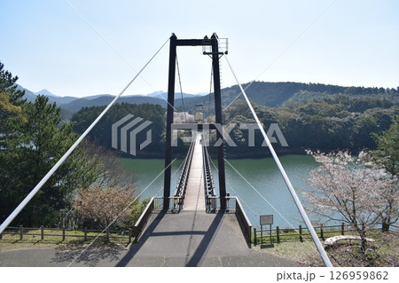 野岳大橋 126959862