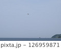 海とドローン 126959871