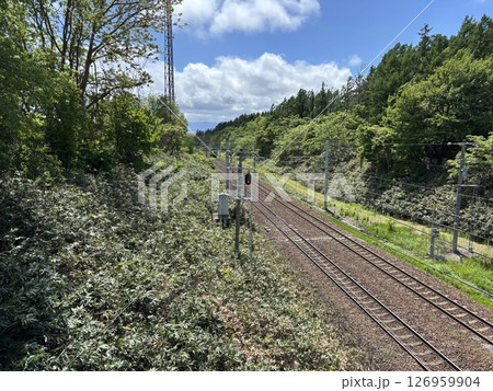 函館線を走るノロッコ号《北海道》 函館線を走るノロッコ号《北海道》 126959904