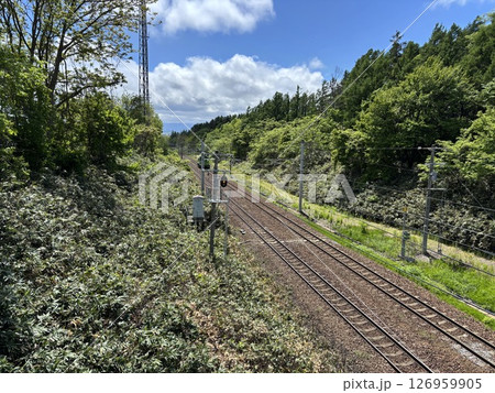 函館線を走るノロッコ号《北海道》 函館線を走るノロッコ号《北海道》 126959905