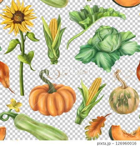 Seamless autumn harvest pattern with pumpkins, zucchini, cabbage, corn, sunflower, leaves. Farm products healthy vegetables, gardening. Hand drawing background for wrapping paper, textiles, design 126960016