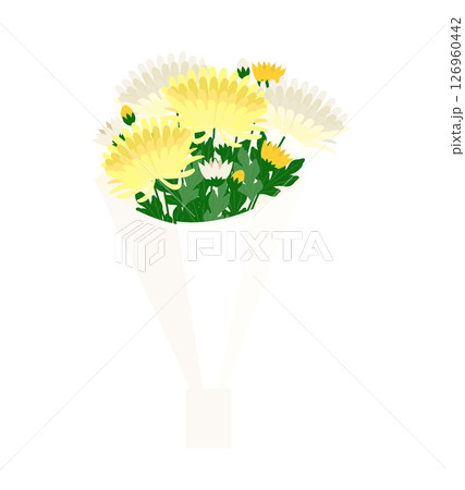 菊の花束のイラスト 菊の花束のイラスト 126960442