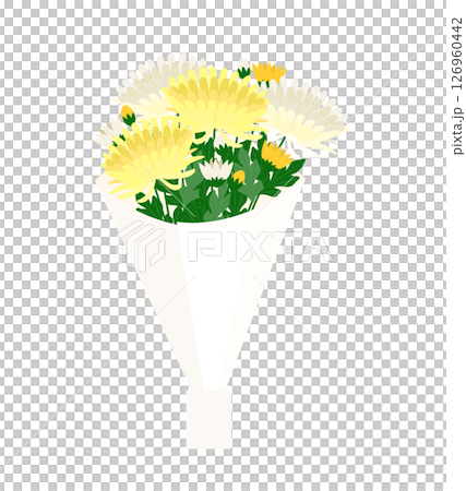 菊の花束のイラスト 菊の花束のイラスト 126960442
